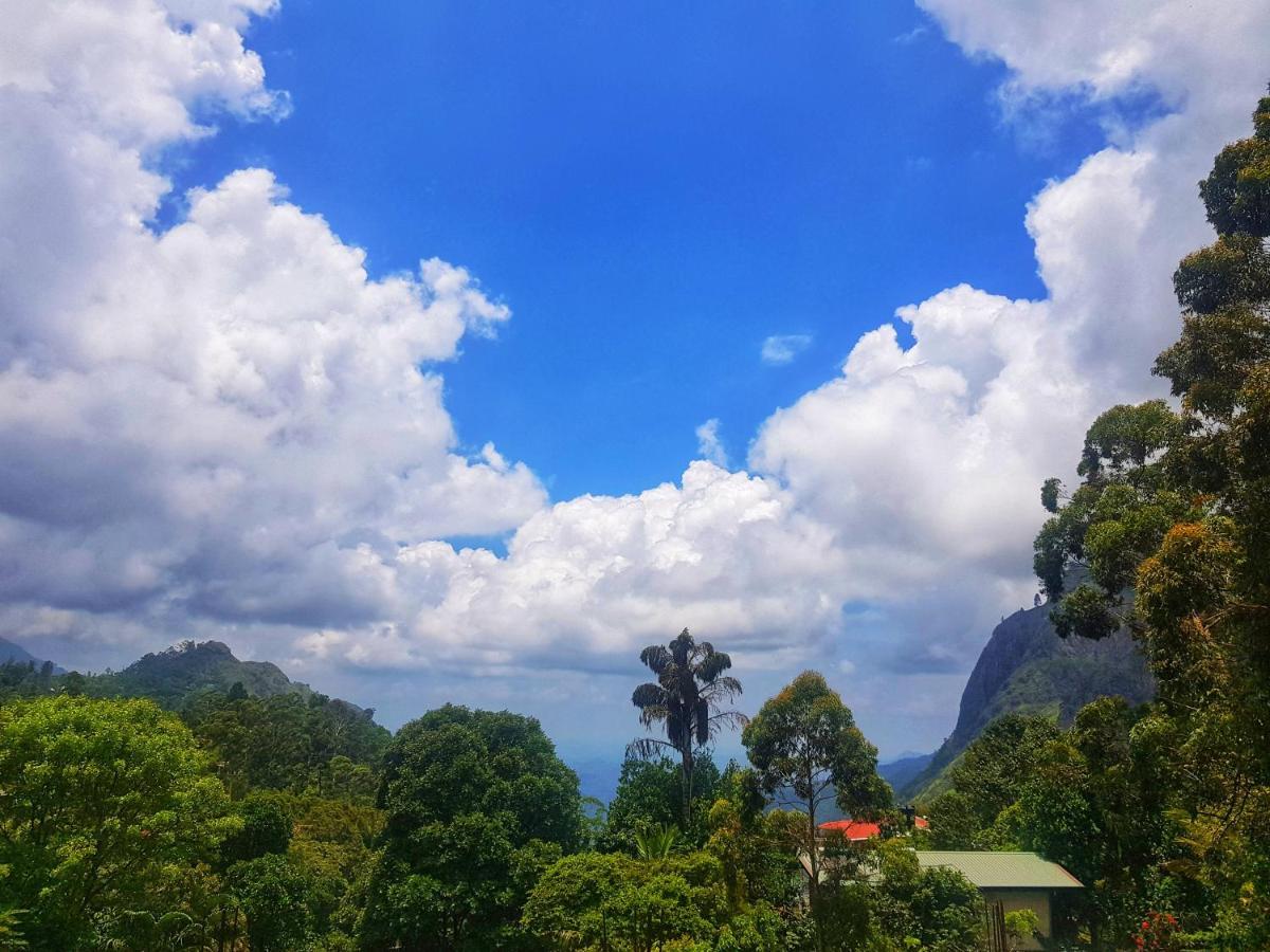 Holly House Homestay 埃拉 外观 照片