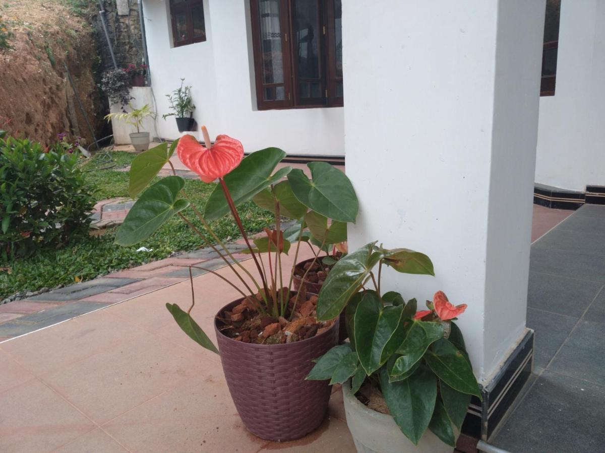 Holly House Homestay 埃拉 外观 照片