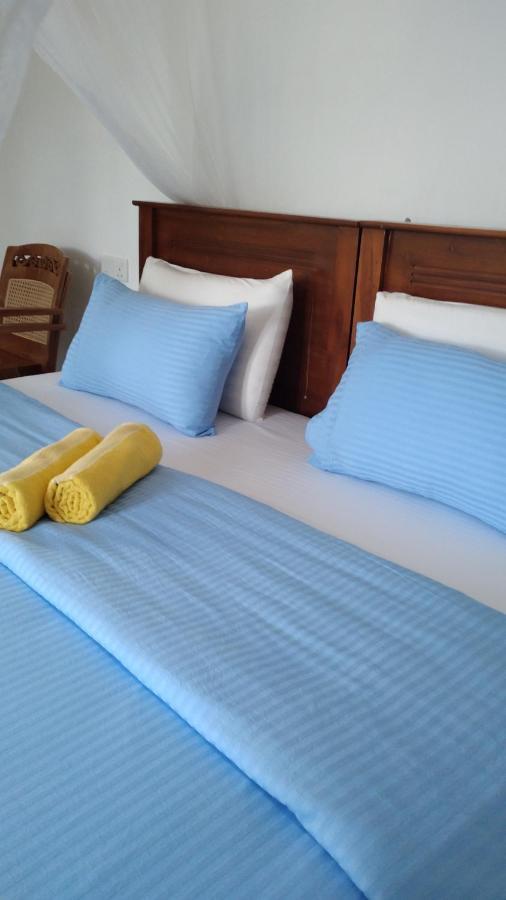 Holly House Homestay 埃拉 外观 照片