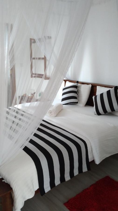 Holly House Homestay 埃拉 外观 照片